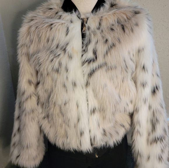 Bomber Jacket - Picture 3 of 6